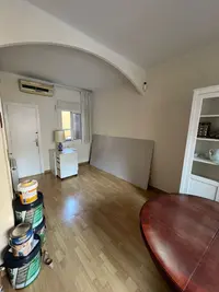 Pintor profesional - miniatura 1