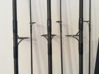 Cañas Carpfishing 13 pies 3.5 lbs - miniatura 1