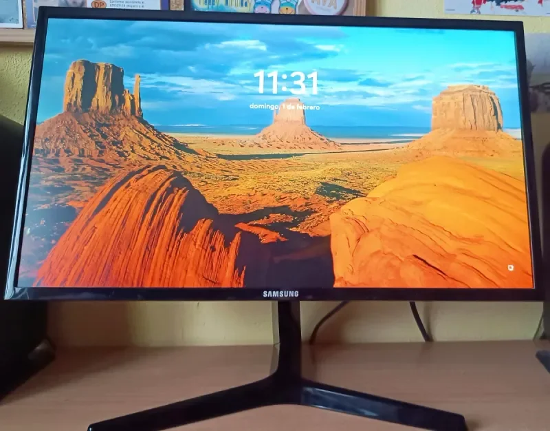 Monitor Samsung 24 Full HD