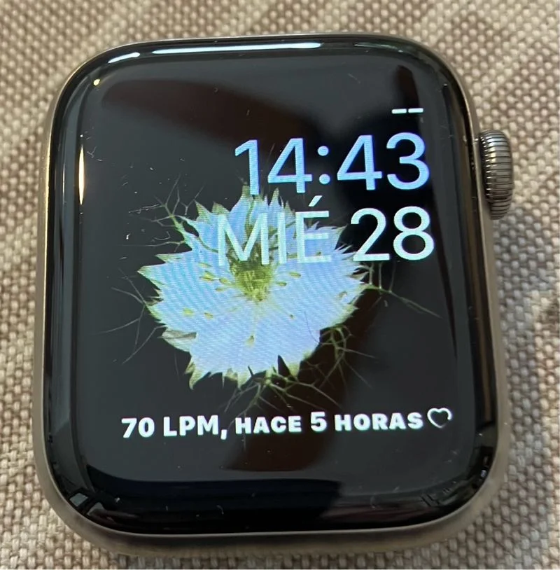 Apple Watch Series 6 44mm Titanio y porcelana