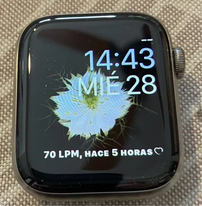 Apple Watch Series 6 44mm Titanio y porcelana