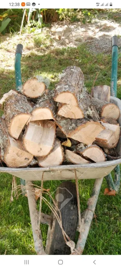 leña, madera, barbacoa,fuego,calçots