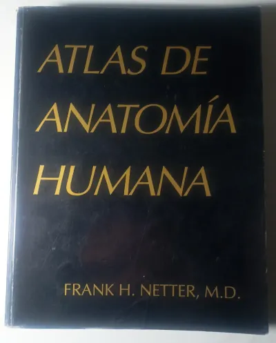 Anatomía humana Netter