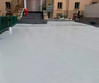 Impermeabilizaciones. - miniatura 1