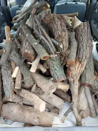 leña, madera, barbacoa,fuego,calçots - miniatura 2