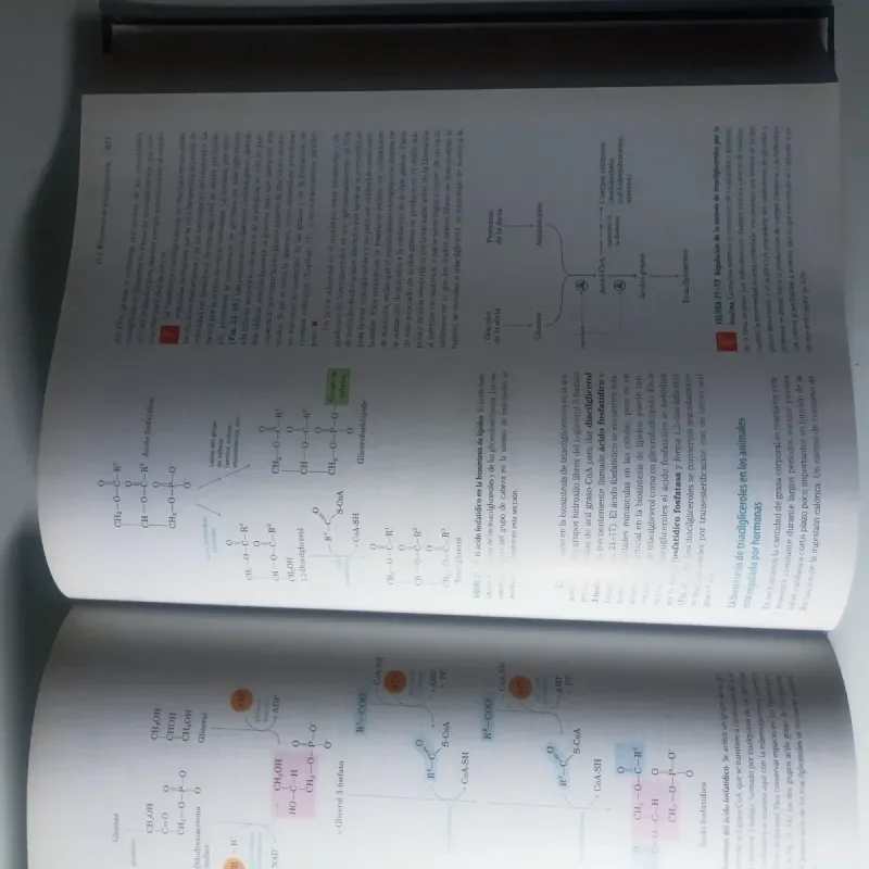 PRINCIPIOS DE BIOQUÍMICA LEHNINGER,5/ED. (BIOQU... - foto 2