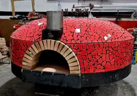 Horno Pizza Leña/Gas pizzeria Nuevos y usados - miniatura 2