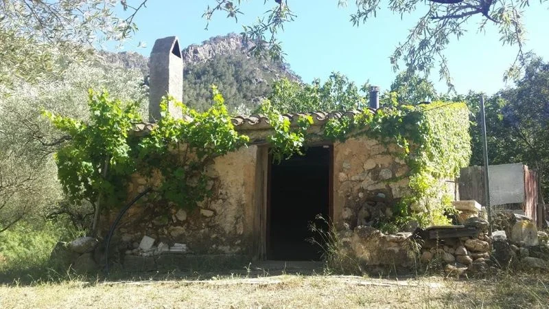 Terreno casa pequeña en permuta - foto 2