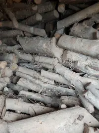 leña, madera, barbacoa,fuego,calçots - miniatura 3