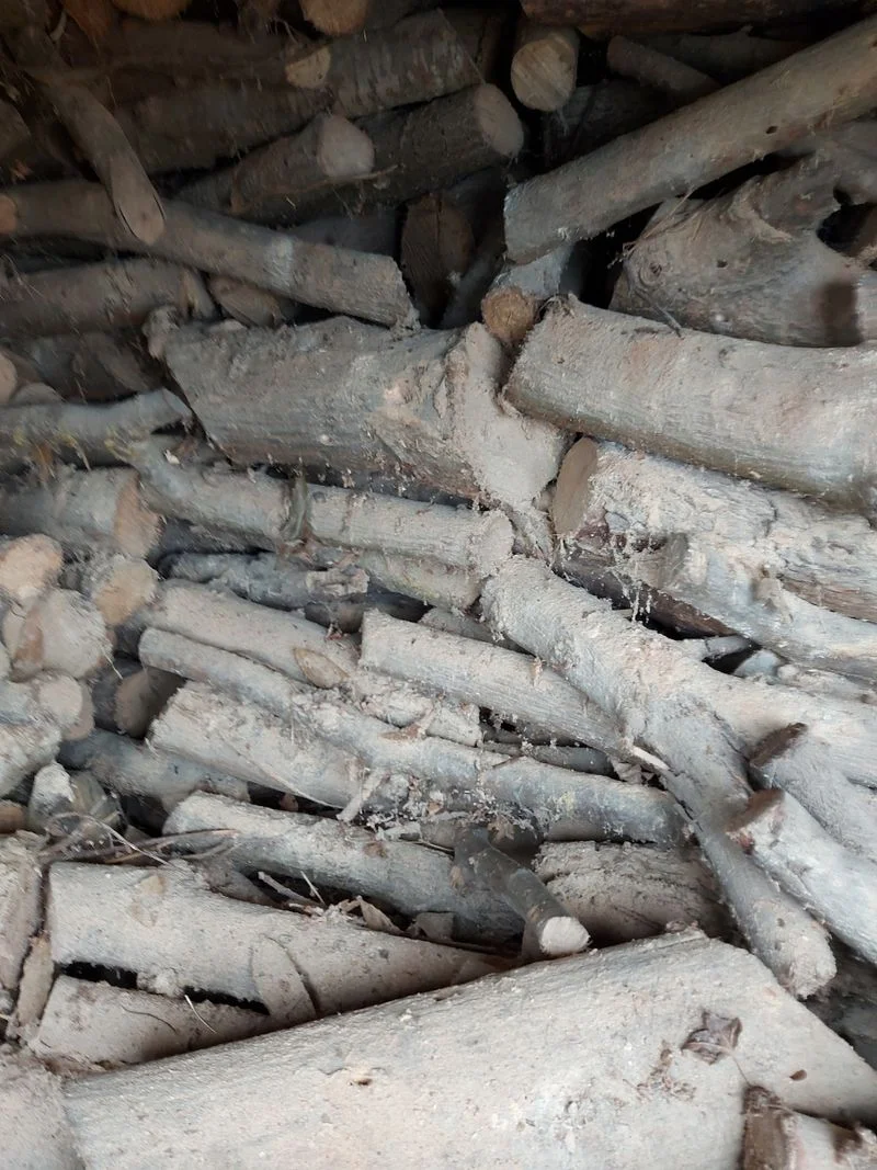 leña, madera, barbacoa,fuego,calçots - foto 3