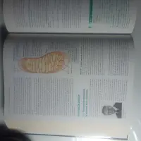 PRINCIPIOS DE BIOQUÍMICA LEHNINGER,5/ED. (BIOQU... - miniatura 3