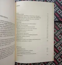 Libro Kanji. La Escritura Japonesa. - miniatura 3