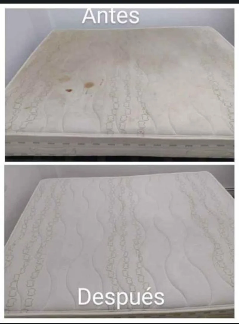 LIMPIEZA DE TAPICERÍA - foto 3