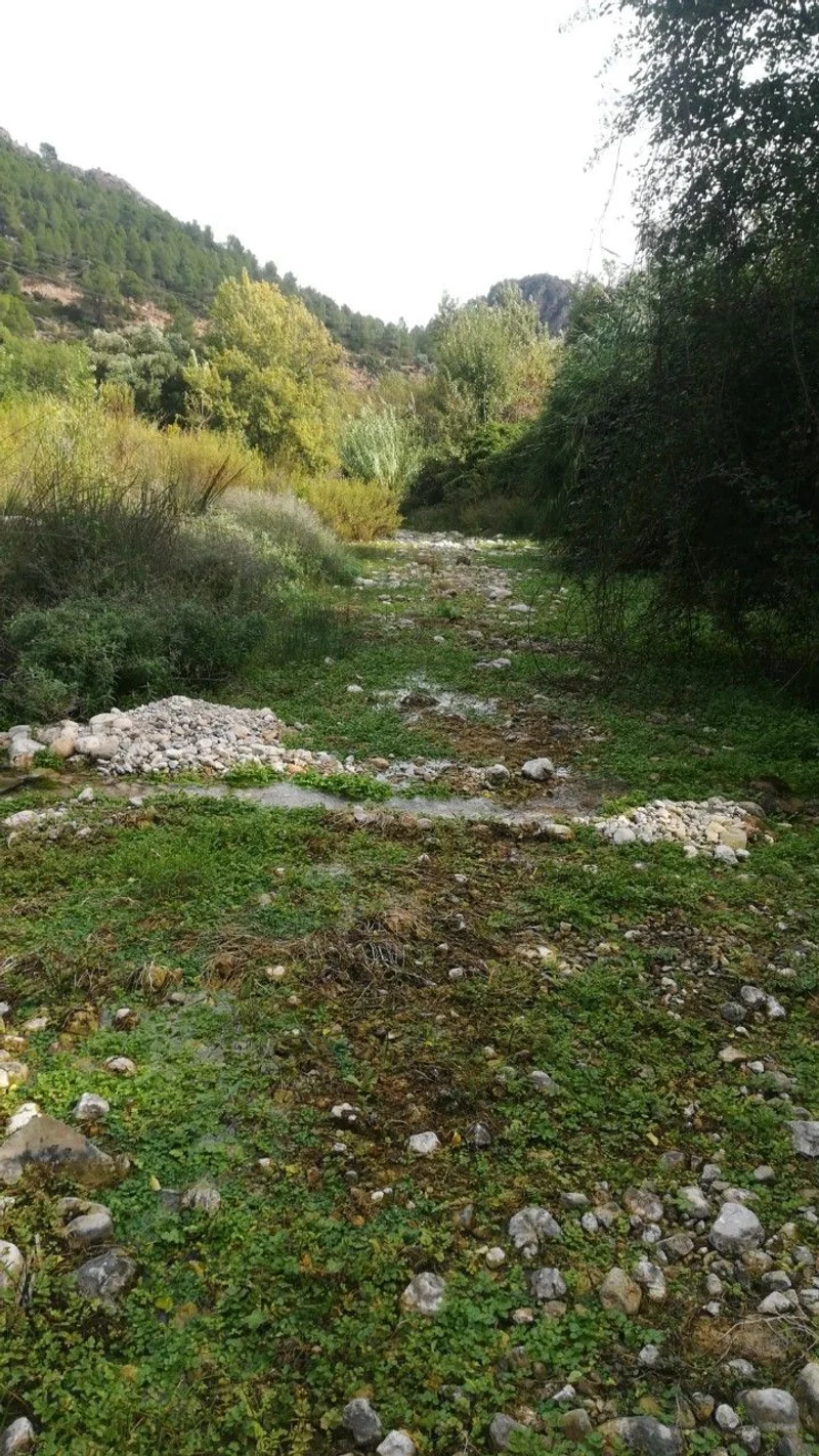 Terreno casa pequeña en permuta - foto 3