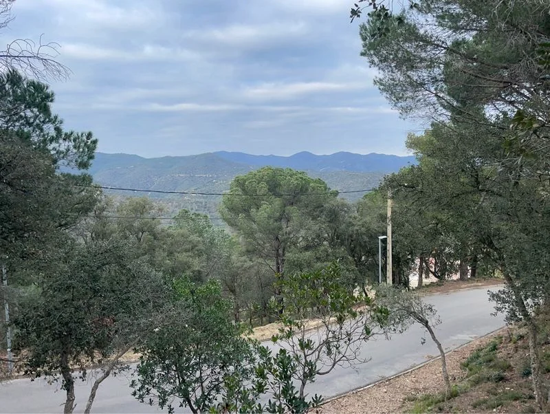 terreno edificable en serra brava . lloret urge - foto 3