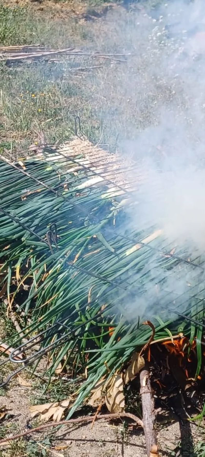 leña, madera, barbacoa,fuego,calçots - foto 4