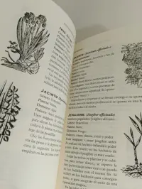 Enciclopedia de las hierbas mágicas - miniatura 4