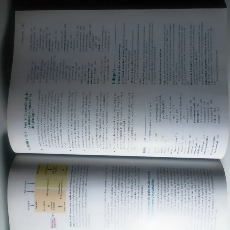 PRINCIPIOS DE BIOQUÍMICA LEHNINGER,5/ED. (BIOQU... - foto 4