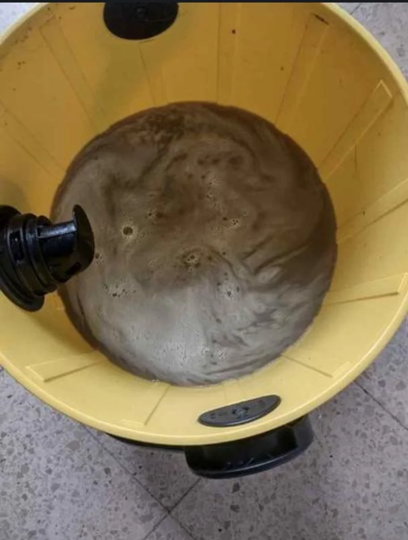 LIMPIEZA DE TAPICERÍA - foto 4