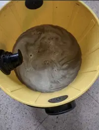 LIMPIEZA DE TAPICERÍA - miniatura 4